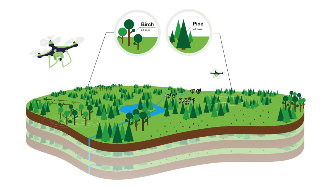 Forest area mapping  is efficient with drones and remote sensing